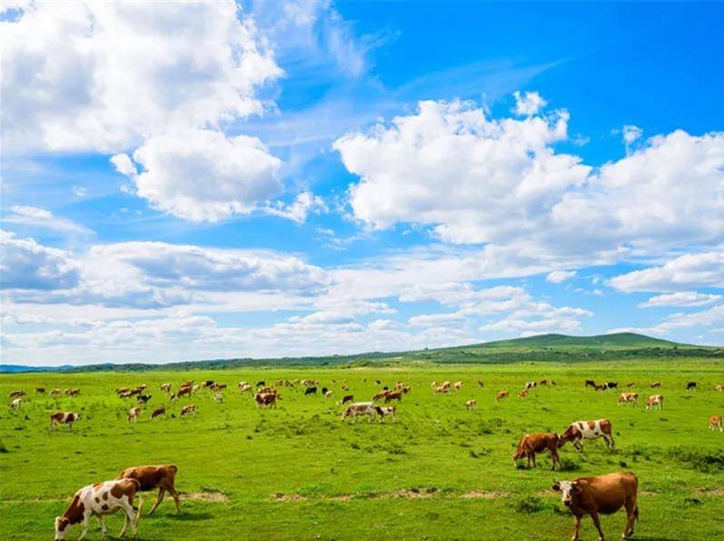 内蒙古，历史长河中的文化瑰宝与社会变迁