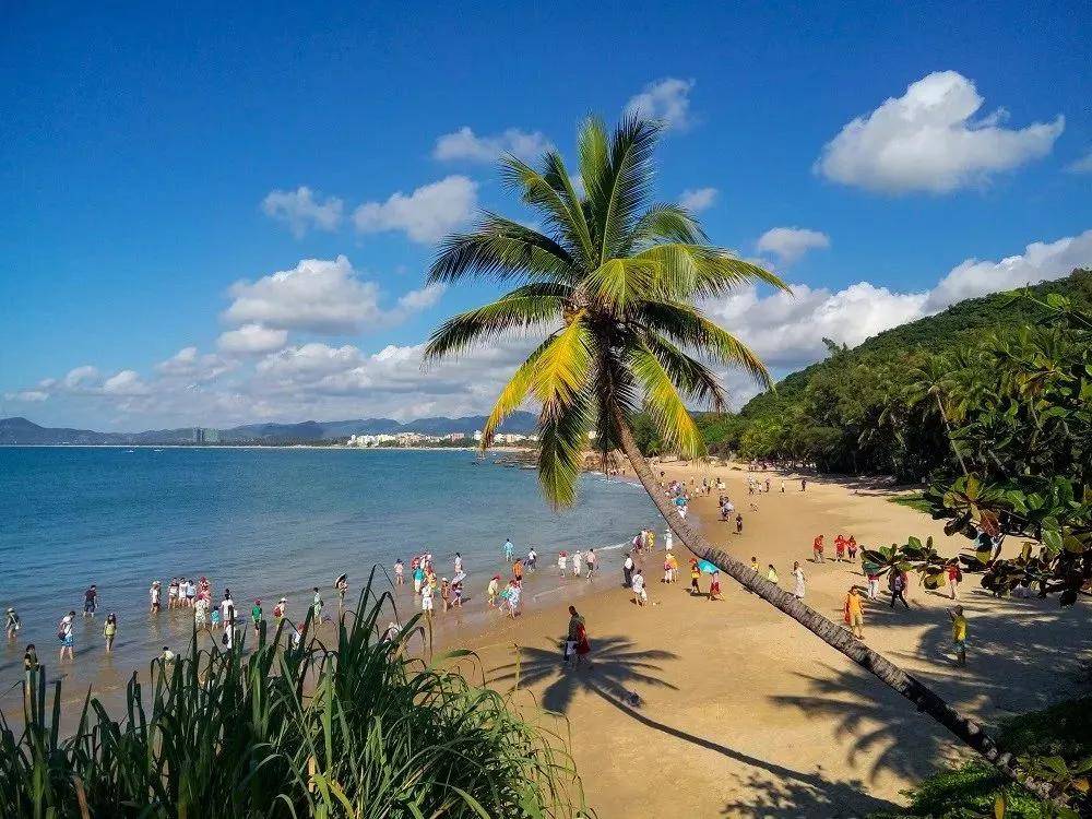 海南赋，南海明珠，椰风海韵画卷展