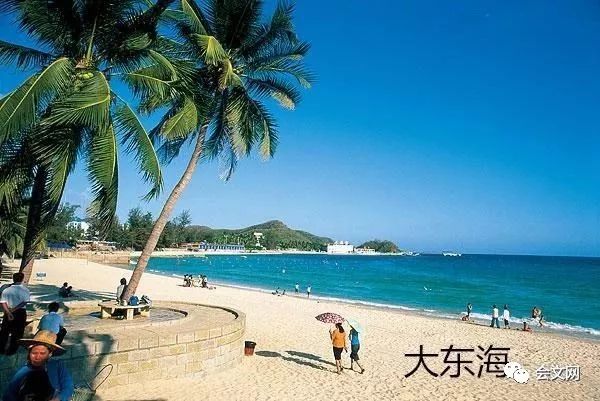 海南赋,南海明珠,椰风海韵画卷展